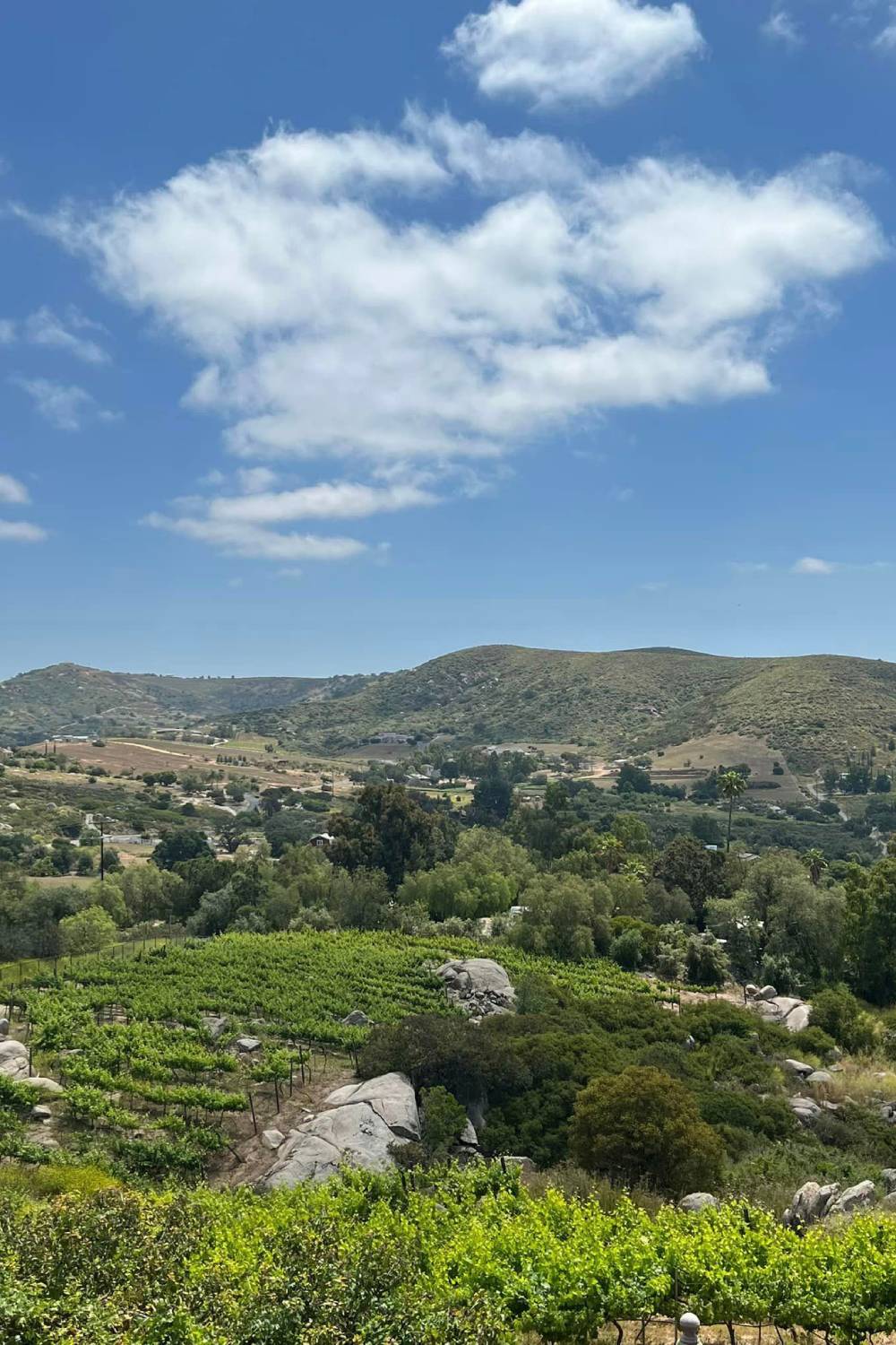 Tour Our Vineyards
