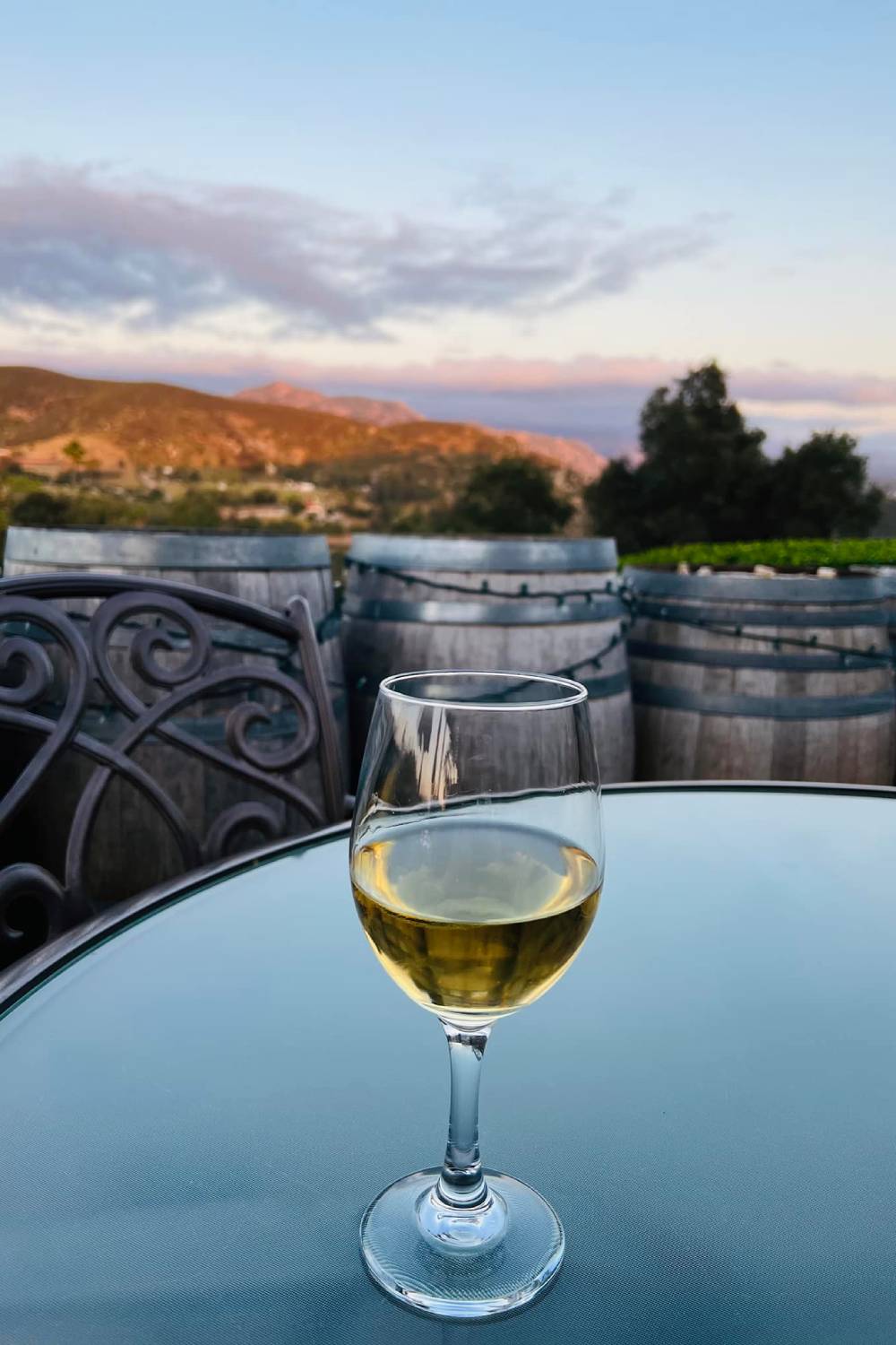 Ramona sunset with Turtle Rock Ridge wine